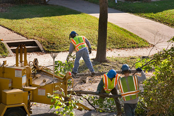 Seasonal Cleanup (Spring/Fall) in Charlotte, TX